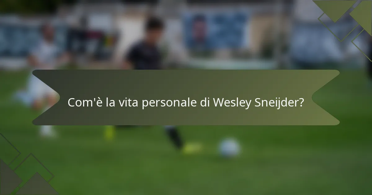 Com'è la vita personale di Wesley Sneijder?